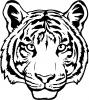 Tiger_Clipart