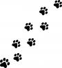 Paw Print Trail